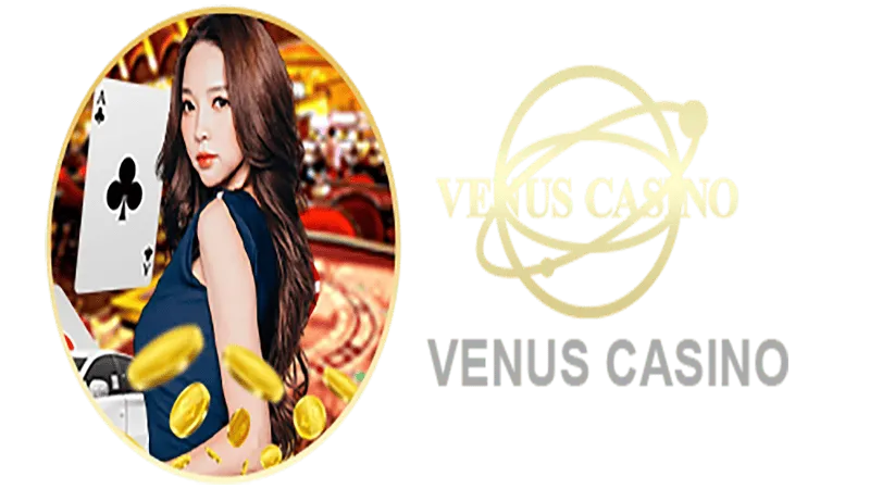 BET535 Informações básicas sobre o saguão do cassino Venus